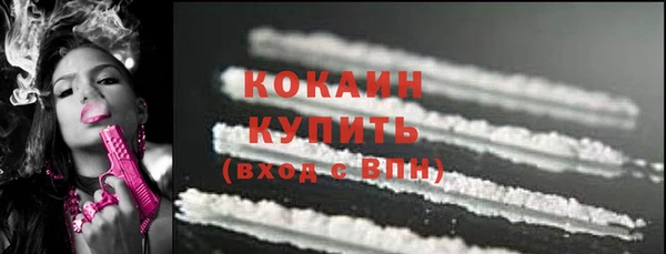 стафф Алексин