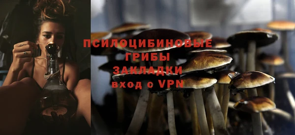 эйфоретик Абинск