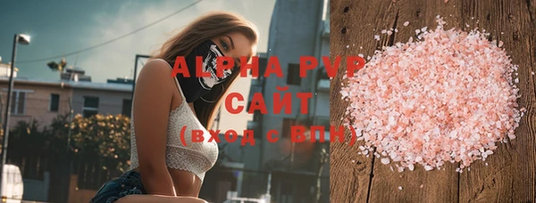 стафф Алексин