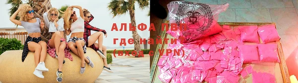СК Абаза