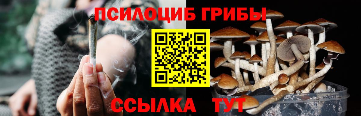 Галлюциногенные грибы ЛСД Новокубанск